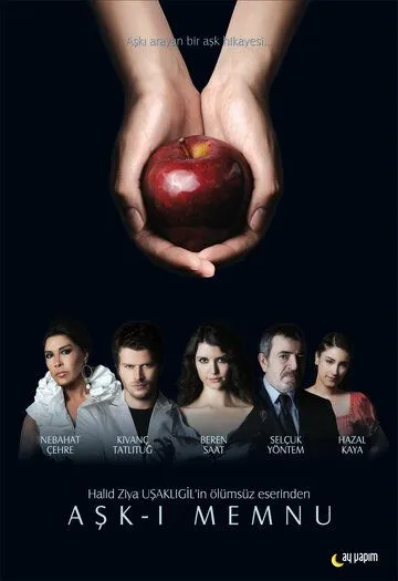 Запретная любовь 1-2 сезон (2008)